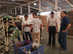 澳门赌博网站_澳门正规赌博_澳门赌博网址_孝感：让民营企业感受到获得感的“